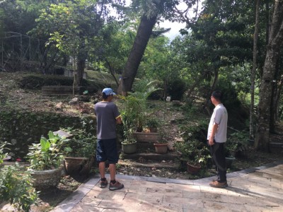 鯉魚山步道進行修繕工作，部分路段暫停開放