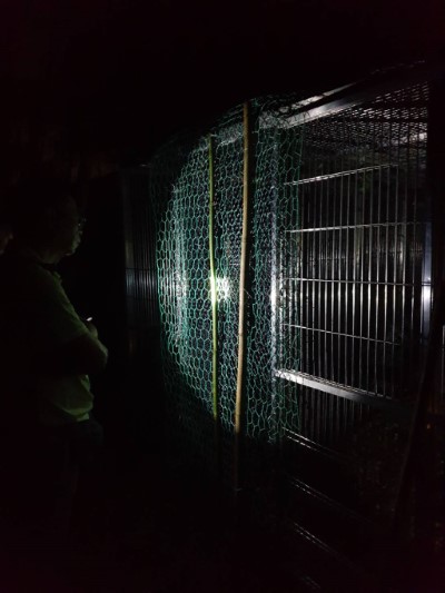 1080727廣原小熊移籠