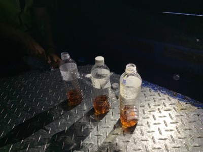 1080727廣原小熊移籠