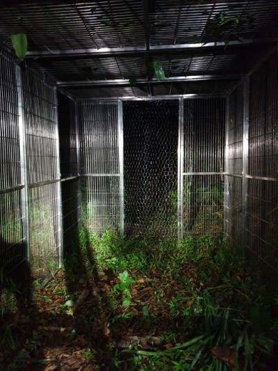 1080727廣原小熊移籠