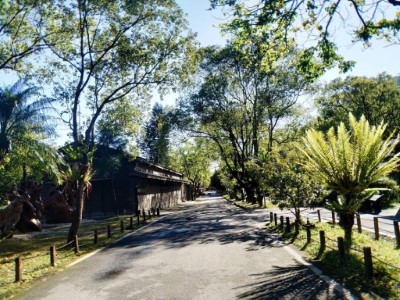 林田山園內景色一隅