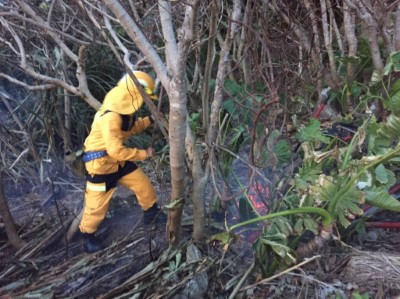 綠島2530號保安林森林火災  空中及地面三維空間滅火部署 火災已控制熄滅