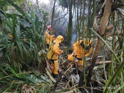 綠島2530號保安林森林火災  空中及地面三維空間滅火部署 火災已控制熄滅