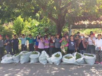 107年度辦理清除小花蔓澤蘭活動合照