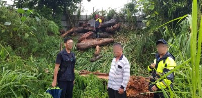 萬里溪查獲民眾盜取漂流木現況照片