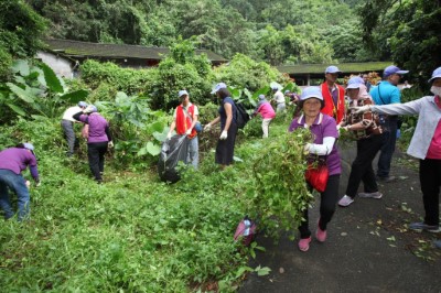 綠癌連根拔全民一起來