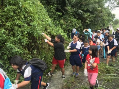 小朋友努力拔除小花蔓澤蘭