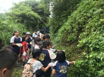 齊力防治小花蔓澤蘭