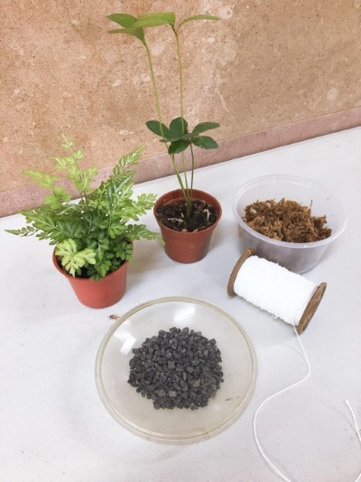 植物苔球手作-材料照