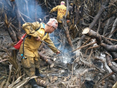 綠島森林火災救火2