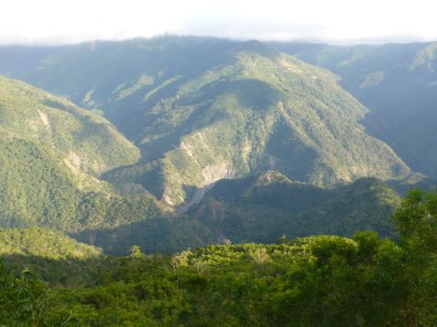 通過FSC認證林地1（枋山鄉、獅子鄉）