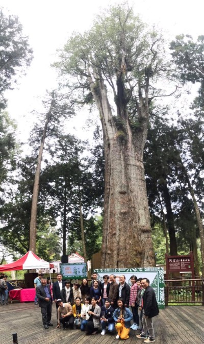 與阿里山神木大合照