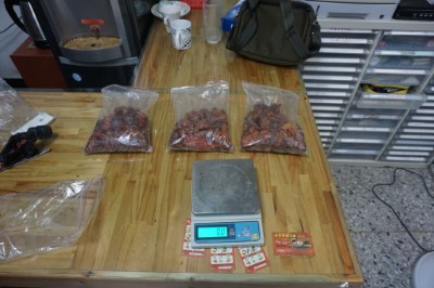 利嘉巡守隊巡護山林不停歇！聯合林、警、民查獲山老鼠！