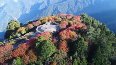 小笠原山空拍照