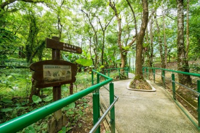 池南園區照片-森林浴步道