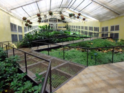花榭溫室模擬由海線到山地植物生態
