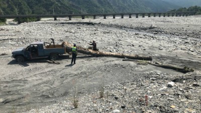 漂流木別拿亂拿當心觸法 林管處：屬國家財產