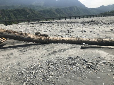 漂流木別拿亂拿當心觸法 林管處：屬國家財產