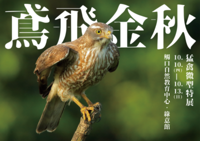 「鳶飛金秋」猛禽微型特展歡迎您