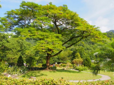 富源國家森林遊樂區夢幻花園