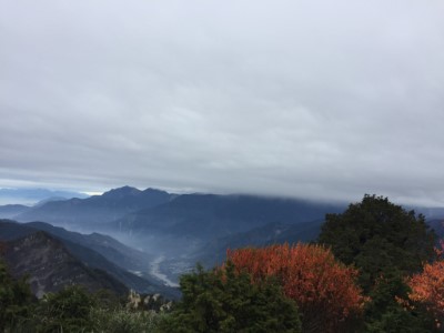 紅榨槭變色時