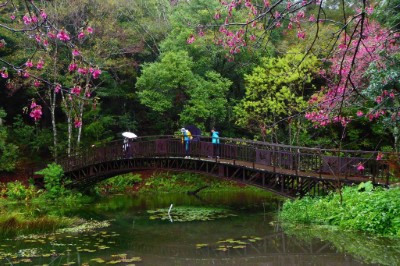 奧萬大國家森林遊樂區－生態池