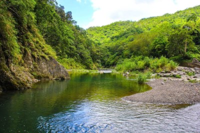 4.園區溪流