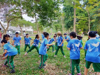 小水滴的旅行體會森林對水土保持的重要