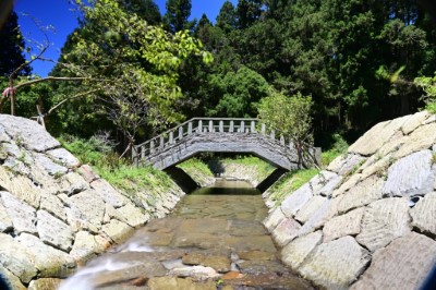 三階靜水池與地景融合，營造阿里山新地標