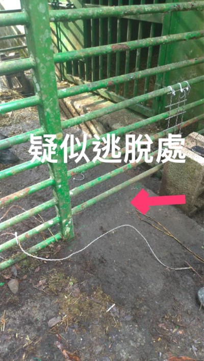 1090102利稻小熊逃逸