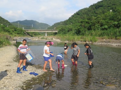 水質指標生物調查