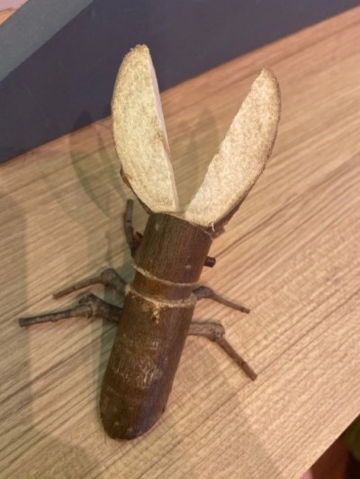 樹枝昆蟲創意發想