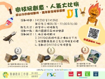 樹枝玩創意人氣大比拼宣傳海報