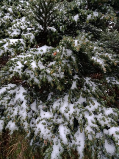北大武山7.4~9k雪景7