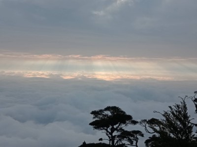 北大武山雲海