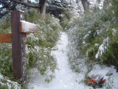 登北大武山數百次山友戴上貴提供2005年北大武山雪景1