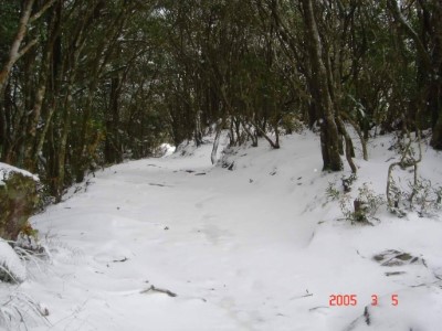 登北大武山數百次山友戴上貴提供2005年北大武山雪景2