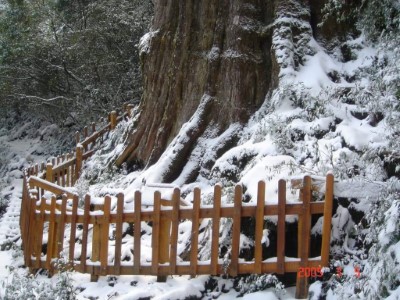 登北大武山數百次山友戴上貴提供2005年北大武山雪景3
