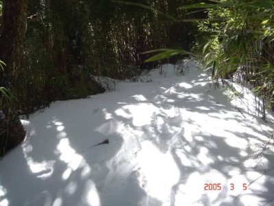登北大武山數百次山友戴上貴提供2005年北大武山雪景4