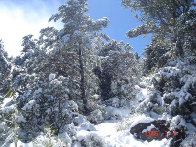 登北大武山數百次山友戴上貴提供2005年北大武山雪景5