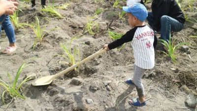 環島守護保安林 「光陽」協「歷」淨灘植樹一起來 攜家帶眷植樹