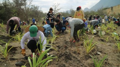 環島守護保安林 「光陽」協「歷」淨灘植樹一起來 民眾熱情齊聚參與活動