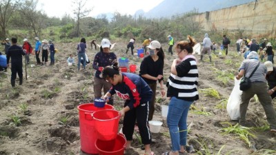 環島守護保安林 「光陽」協「歷」淨灘植樹一起來 民眾一同合作植樹