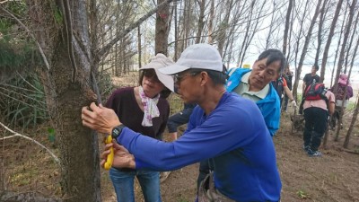 環島守護保安林 「光陽」協「歷」淨灘植樹一起來 嘗試側枝修整