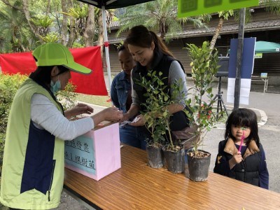 民眾憑發票兌換苗木