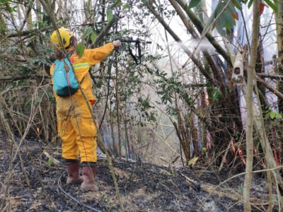 內門區東勢埔接管地救火照1