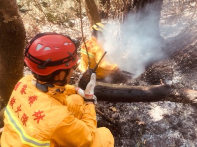 桃源區復興里二葉松復燃及撲滅照1
