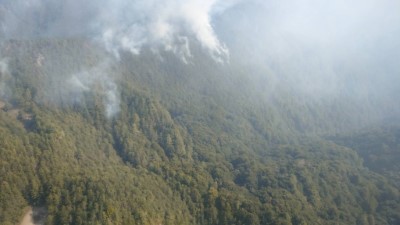 玉里事業區第32林班地火災照片-2