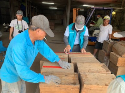 進行牛樟贓木丈量標籤作業