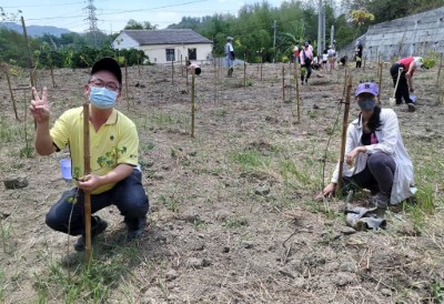 植樹距離是最佳安全社交距離